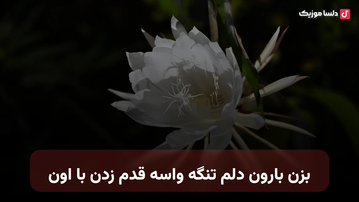 بزن بارون دلم تنگه واسه قدم زدن با اون با صدای زن